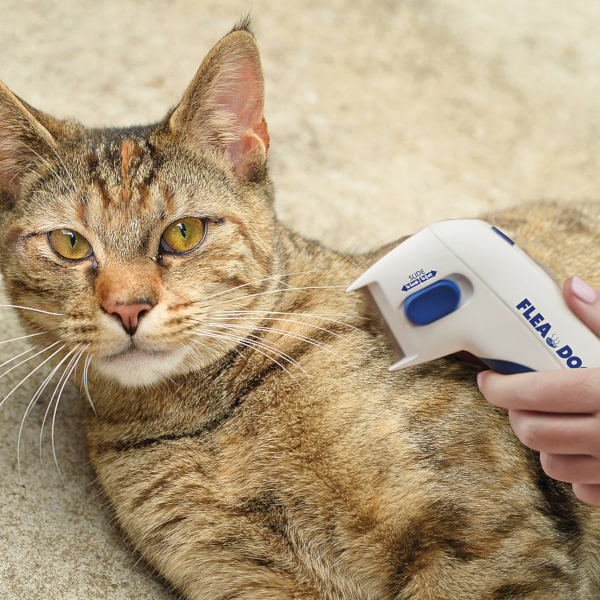 Flohkamm für Haustiere