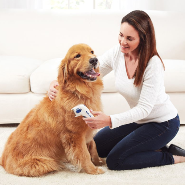 Flohkamm für Haustiere